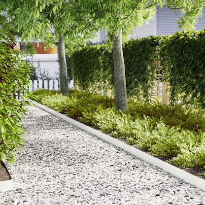 Lawn Edging 50 pcs White 100 x 0.05 x 15 cm Cold Rolled Steel