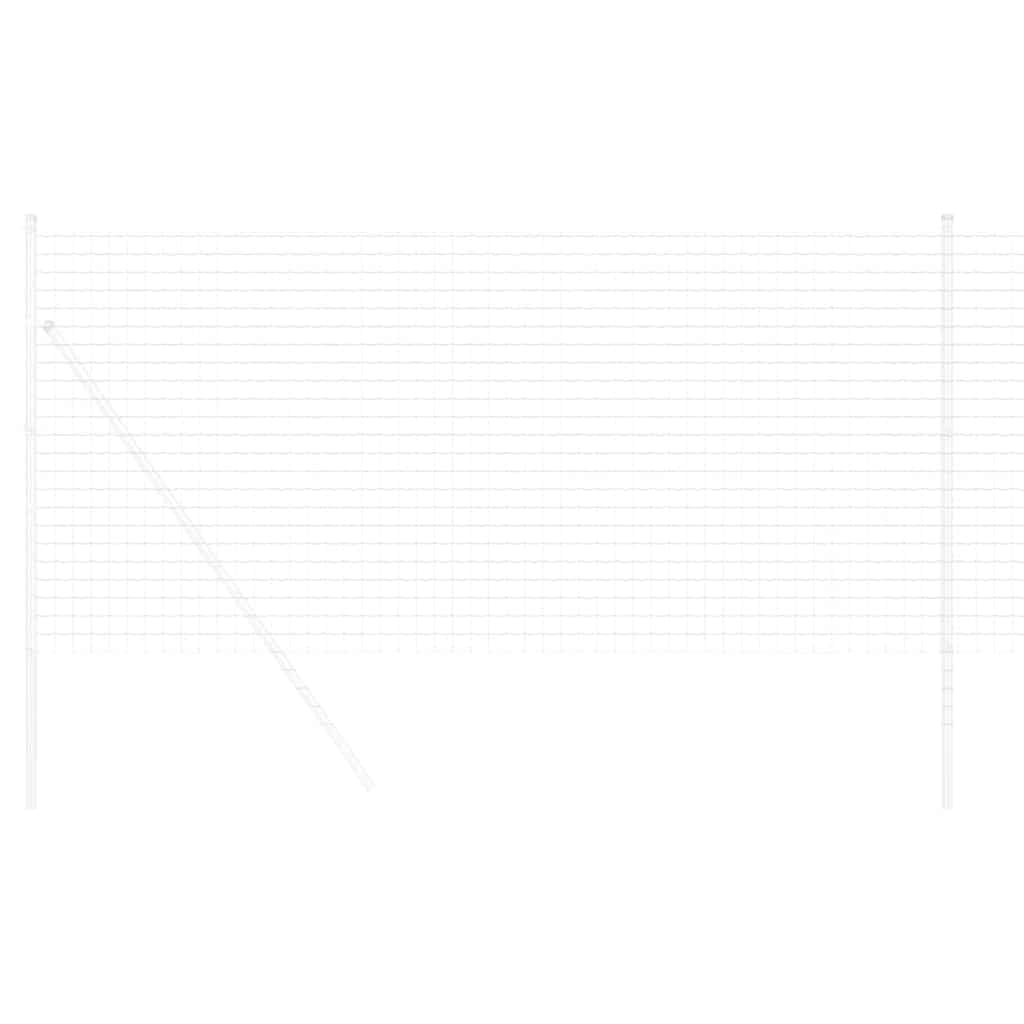 Euro Fence 1 x 10 m PVC-coated iron
