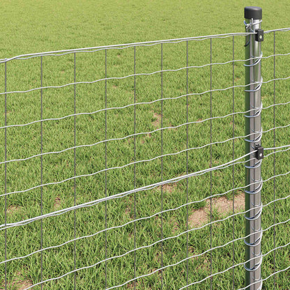 Euro Fence 1.6 x 10 m PVC-coated iron