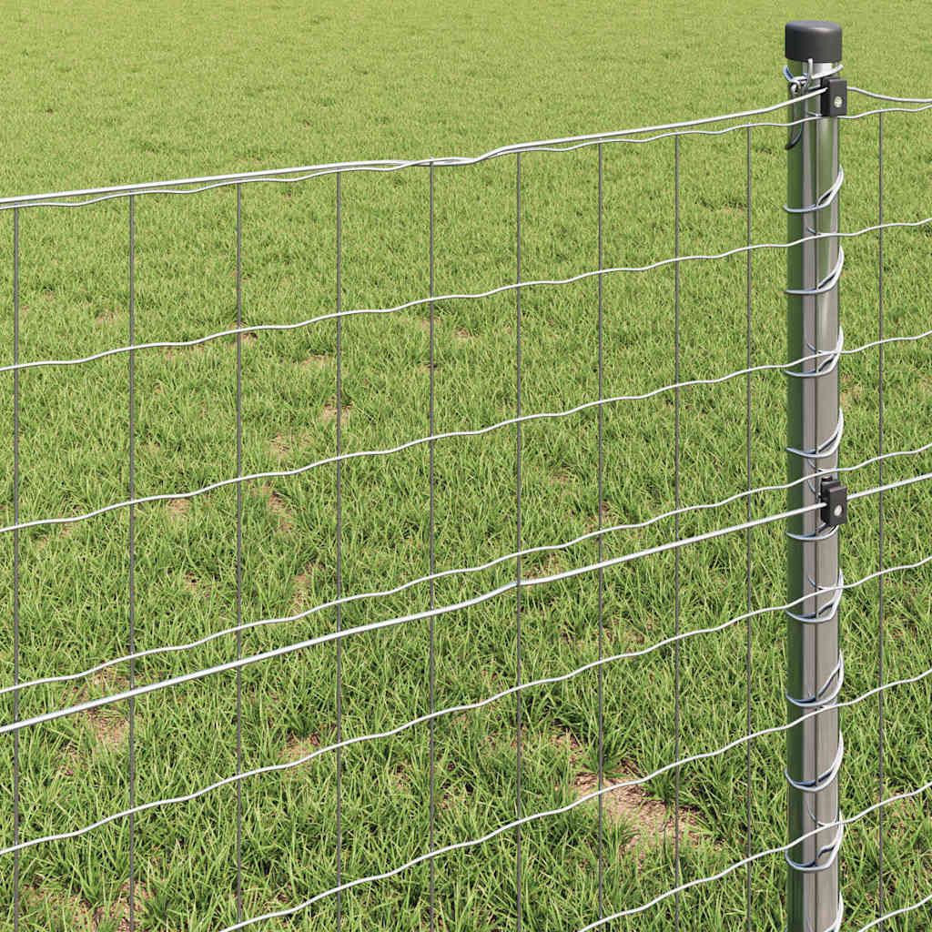 Euro Fence 0.8 x 10 m PVC-coated iron