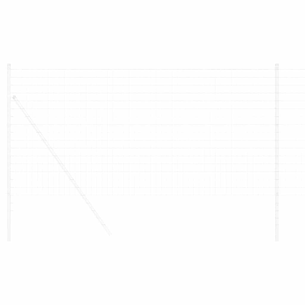 Euro Fence 1.4 x 10 m PVC-coated iron
