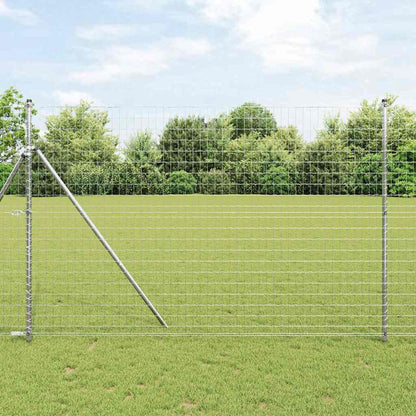 Euro Fence 1.6 x 10 m PVC-coated iron