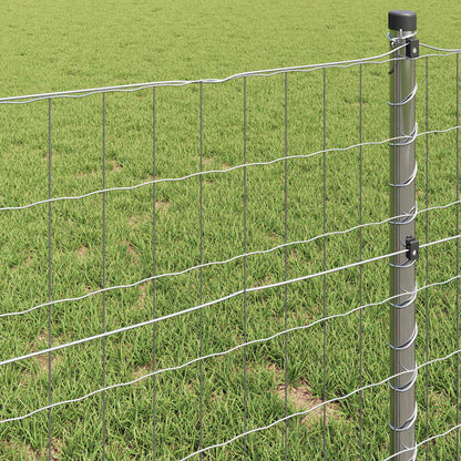 Euro Fence 1.2 x 10 m PVC-coated iron