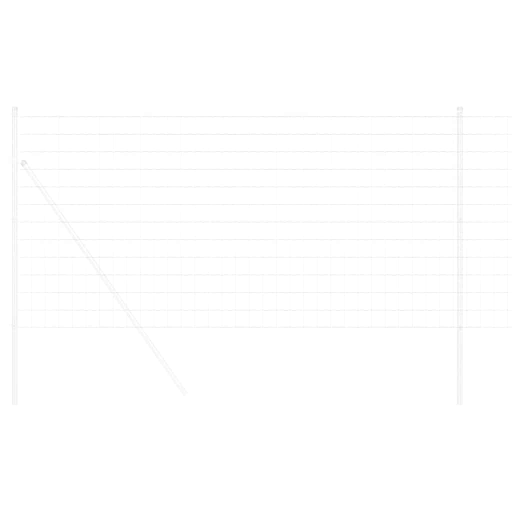 Euro Fence 1 x 10 m PVC-coated iron