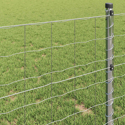 Euro Fence 1.6 x 10 m PVC-coated iron