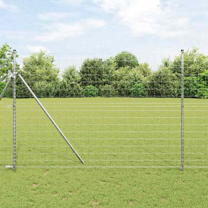 Euro Fence 1.6 x 10 m PVC-coated iron