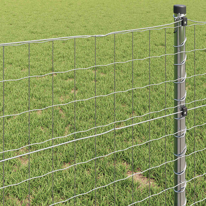 Euro Fence 0.8 x 25 m PVC-coated iron
