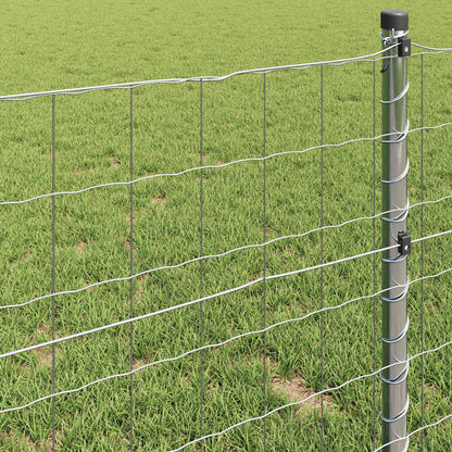 Euro Fence 0.8 x 25 m PVC-coated iron