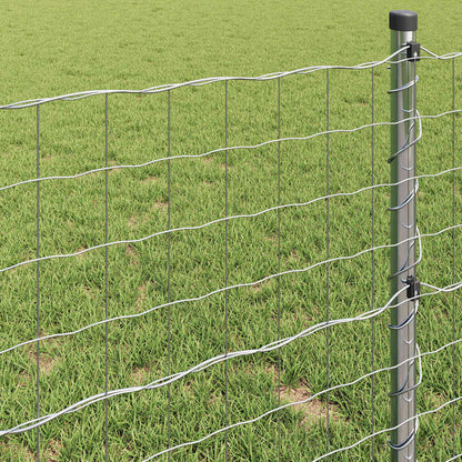Euro Fence 0.6 x 50 m PVC-coated iron