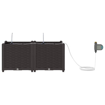 Garden Planter 2 pcs Brown 80 x 40 x 37.5 cm PP