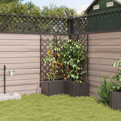 Garden Planter 3 pcs Brown 80 x 80 x 142 cm PP