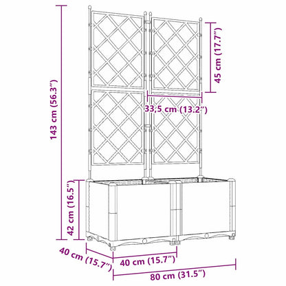 Garden Planter 2 pcs Black 80 x 40 x 143 cm PP