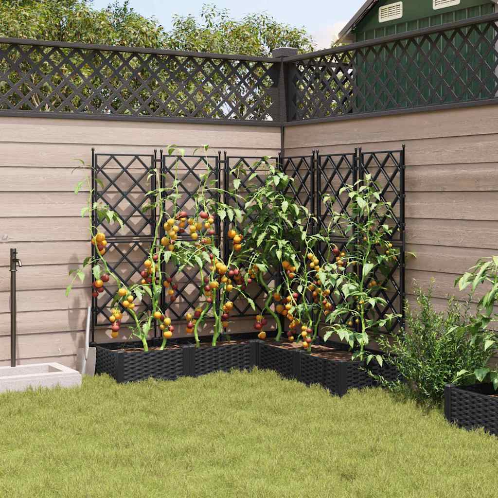 Garden Planter 5 pcs Black 120 x 120 x 125.5 cm PP