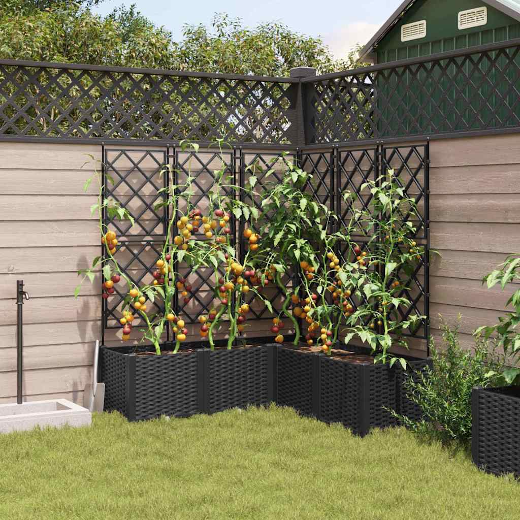 Garden Planter 5 pcs Black 120 x 120 x 143 cm PP