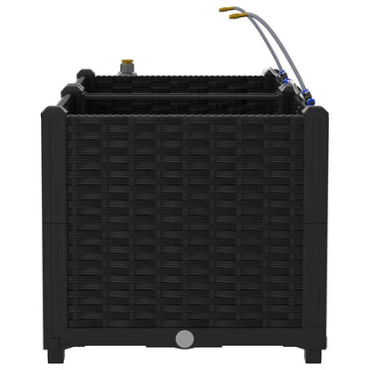 Garden Planter 2 pcs Black 80 x 40 x 37.5 cm PP