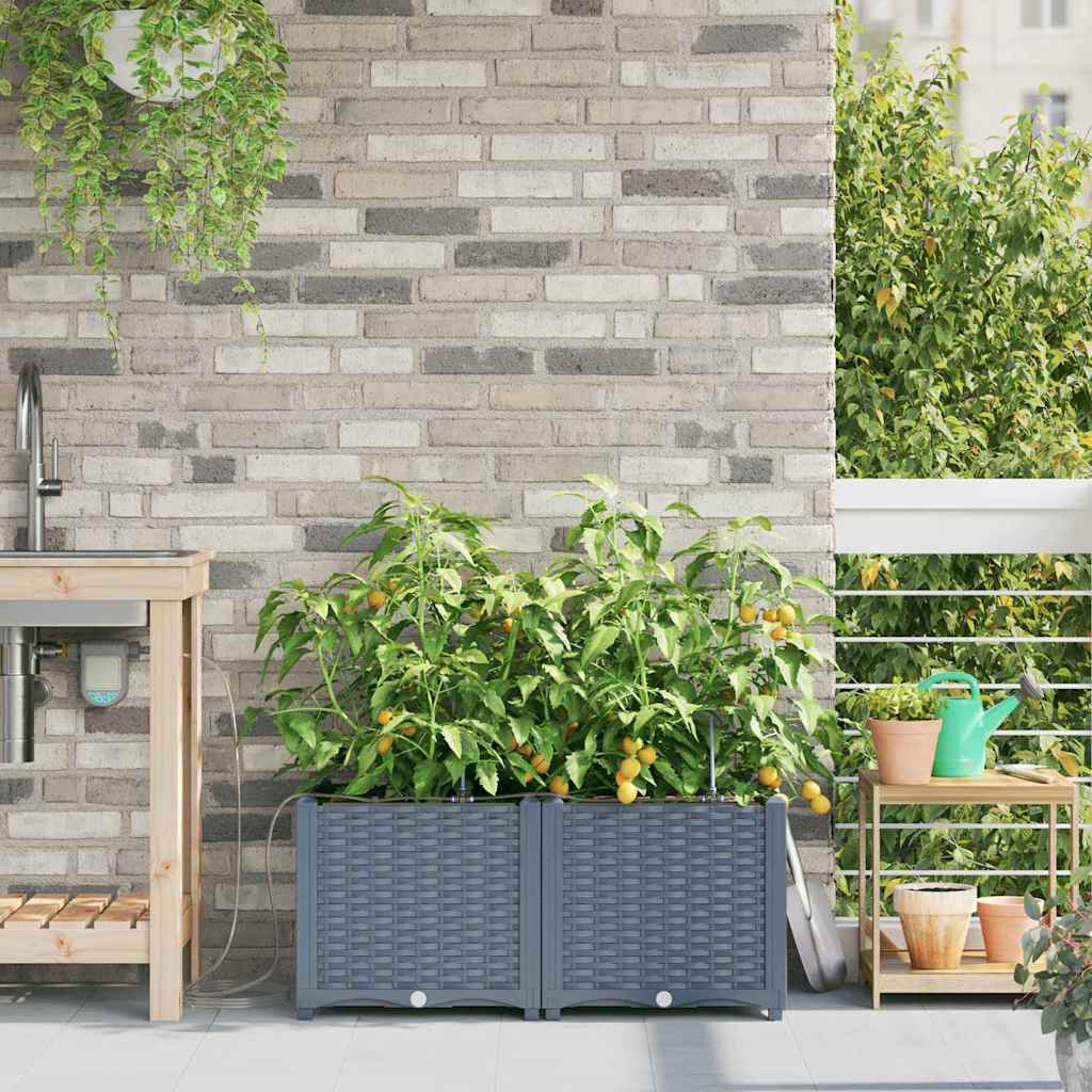Garden Planter 2 pcs LiGht Grey 80 x 40 x 37.5 cm PP