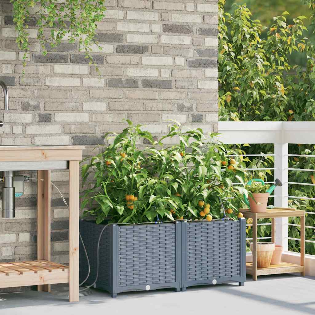 Garden Planter 2 pcs LiGht Grey 80 x 40 x 37.5 cm PP