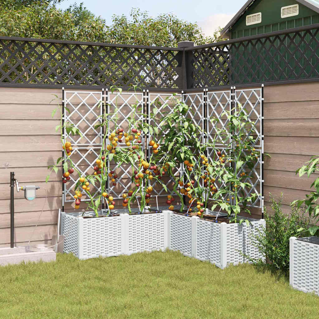 Garden Planter 5 pcs White 120 x 120 x 142 cm PP