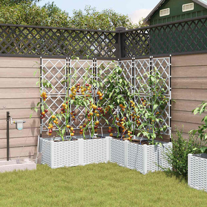 Garden Planter 5 pcs White 120 x 120 x 142 cm PP