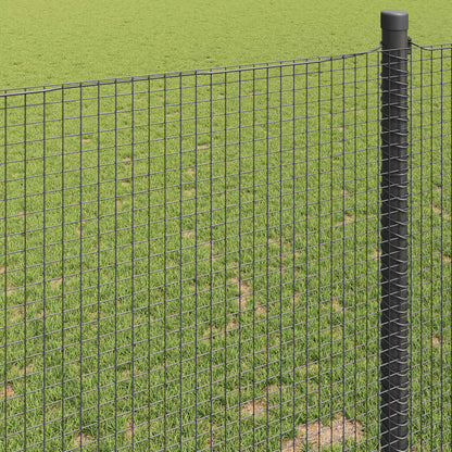 Welded Wire Fence Grey