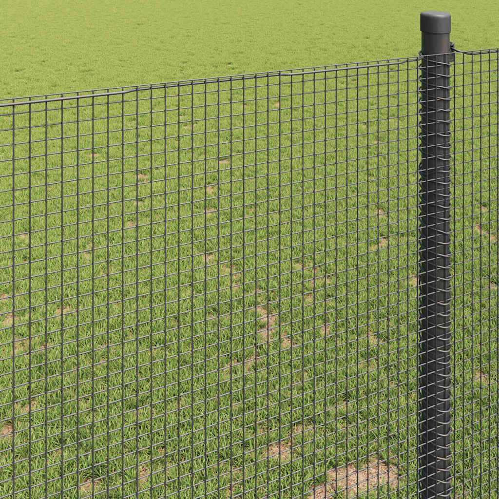 Welded Wire Fence 5000 x 60 cm Grey