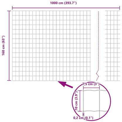 Euro Fence Green 1.6 x 10 m PVC-coated iron