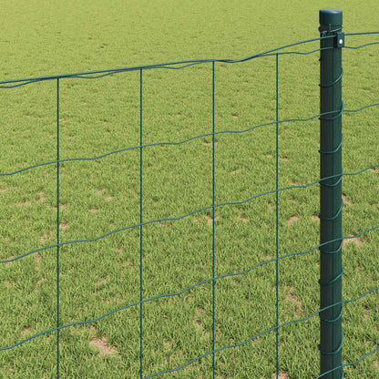 Euro Fence Green 0.6 x 10 m PVC-coated iron