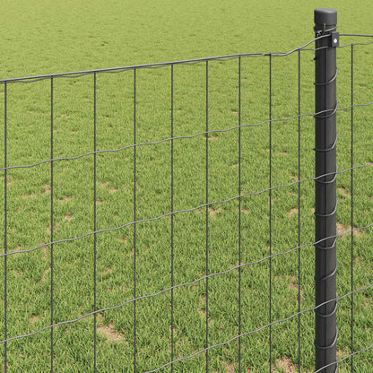 Euro Fence Grey 1.6 x 10 m PVC-coated iron