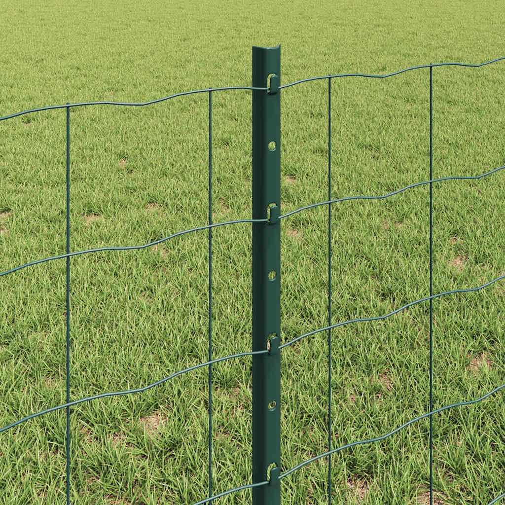 Euro Fence with Post 10 x 0.6 m PVC-Coated Steel Green Mesh