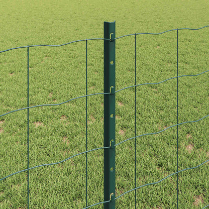 Euro Fence with Post 10 x 0.8 m PVC-Coated Steel Green Mesh