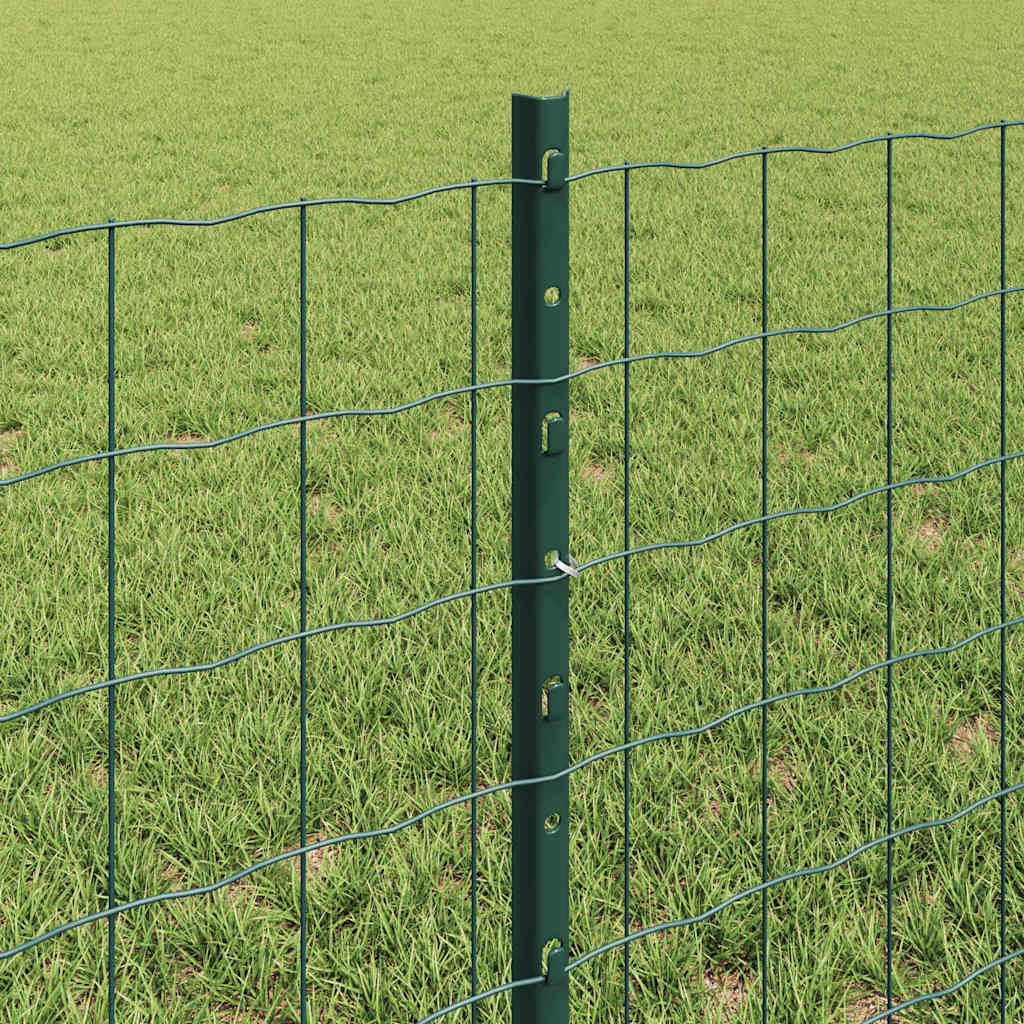 Euro Fence with Post 10 x 0.6 m PVC-Coated Steel Green Mesh