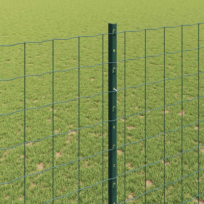 Euro Fence with Post 10 x 1.6 m PVC-Coated Steel Green Mesh