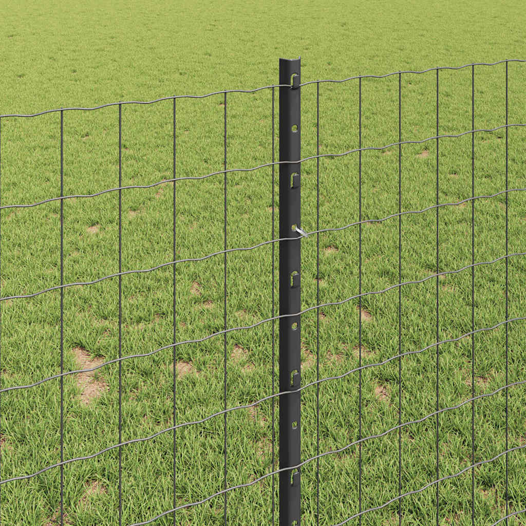 Euro Fence with Post 10 x 1 m PVC-Coated Steel Grey Mesh