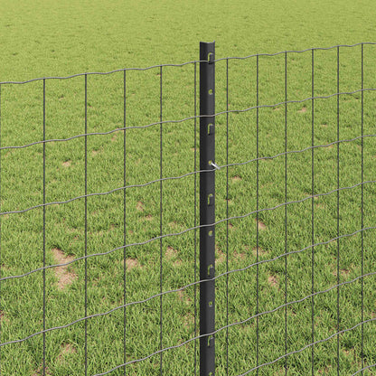 Euro Fence with Post 10 x 1 m PVC-Coated Steel Grey Mesh