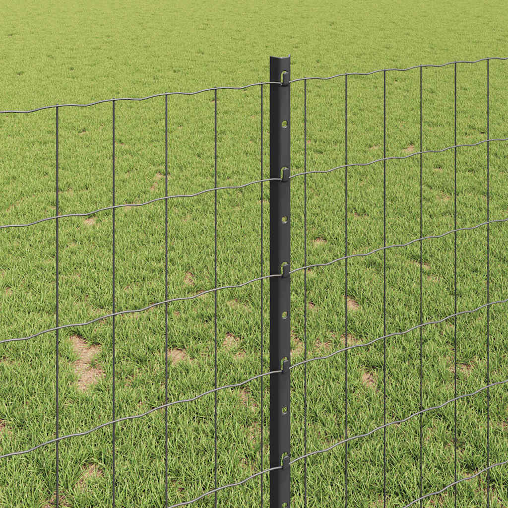 Euro Fence with Post 10 x 1 m PVC-Coated Steel Grey Mesh