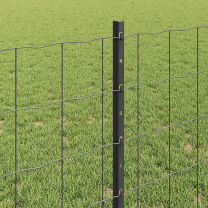 Euro Fence with Post 10 x 0.8 m PVC-Coated Steel Grey Mesh