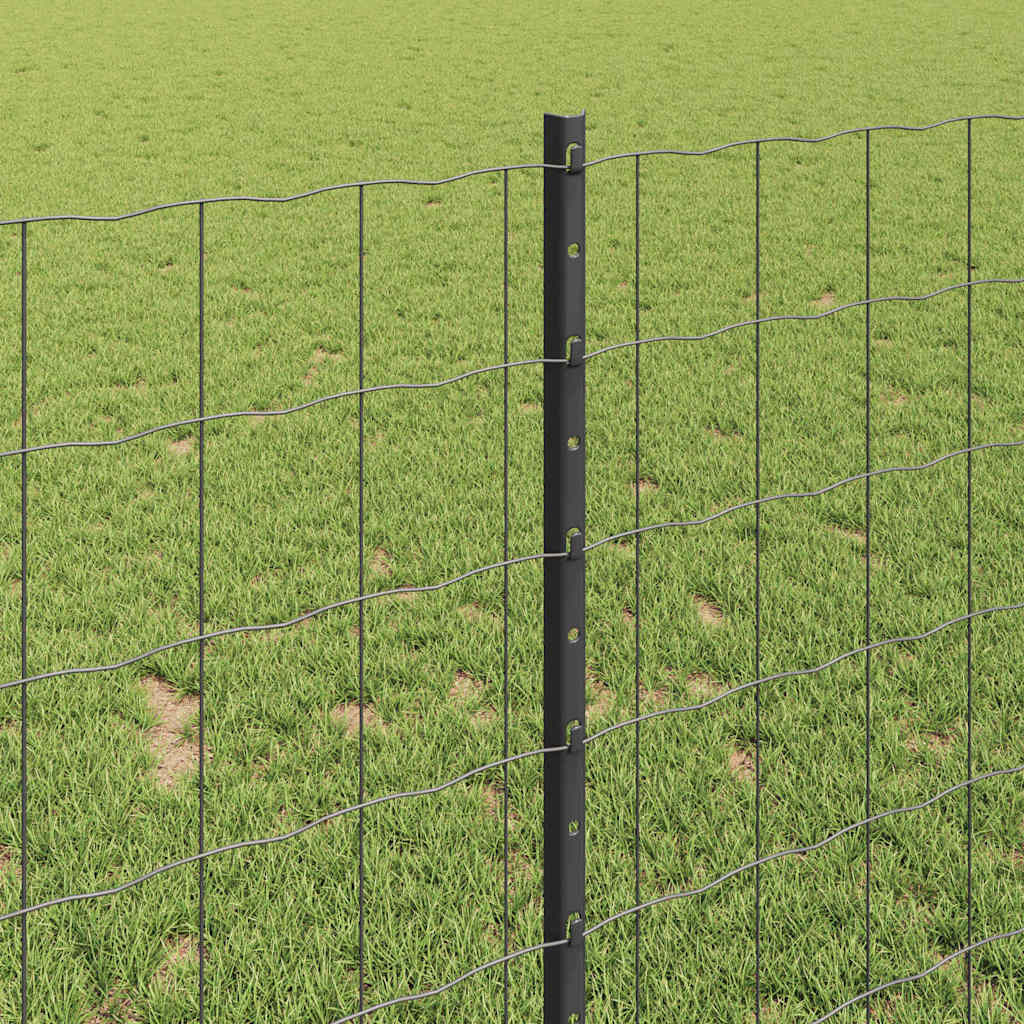 Euro Fence with Post 10 x 1 m PVC-Coated Steel Grey Mesh