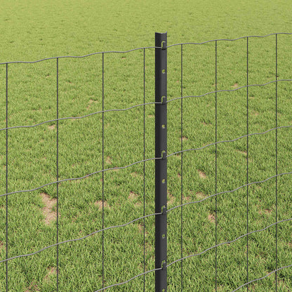 Euro Fence with Post 10 x 1 m PVC-Coated Steel Grey Mesh