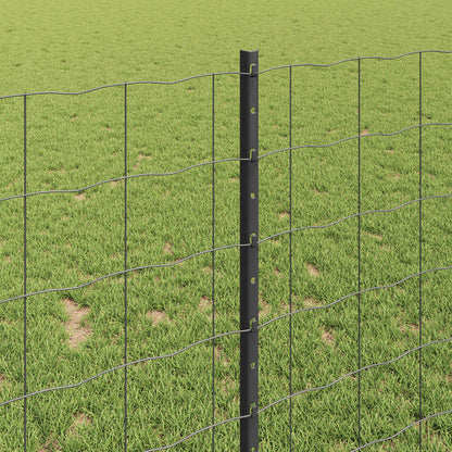 Euro Fence with Post 10 x 1 m PVC-Coated Steel Grey Mesh
