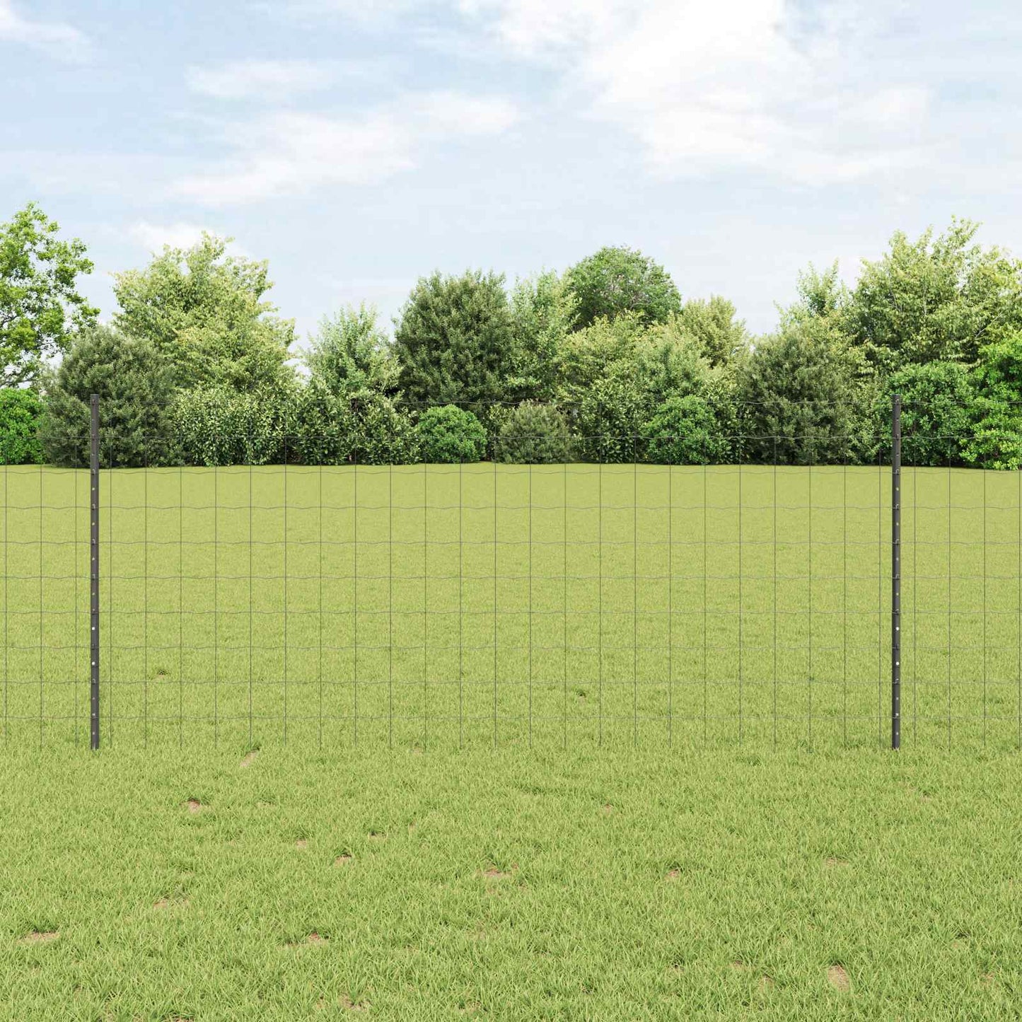 Euro Fence with Post 10 x 1 m PVC-Coated Steel Grey Mesh