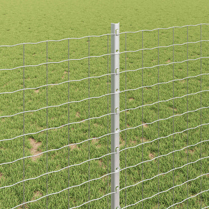 Euro Fence with Post 10 x 1 m Galvanised Steel Silver Mesh