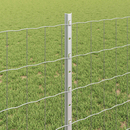 Euro Fence with Post 10 x 0.8 m Galvanised Steel Silver Mesh