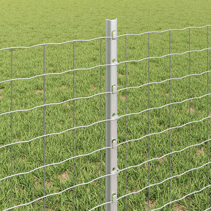 Euro Fence with Post 25 x 0.6 m Galvanised Steel Silver Mesh