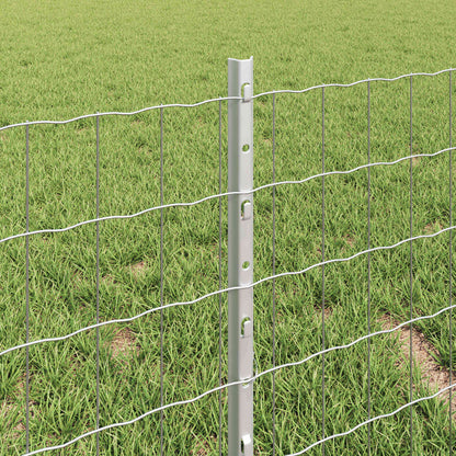 Fence with Post Silver