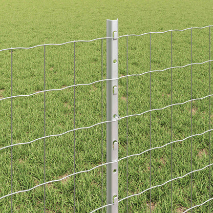 Euro Fence with Post 25 x 0.6 m Galvanised Steel Silver Mesh