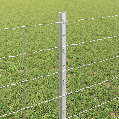 Euro Fence with Post 25 x 0.8 m Galvanised Steel Silver Mesh