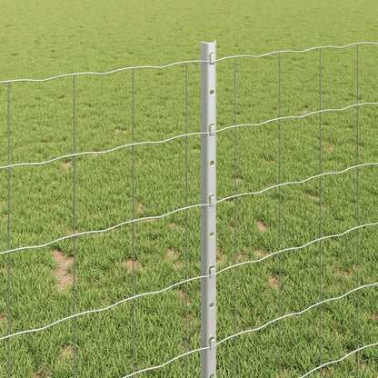 Euro Fence with Post 25 x 1 m Galvanised Steel Silver Mesh