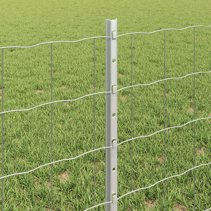 Euro Fence with Post 50 x 0.6 m Galvanised Steel Silver Mesh