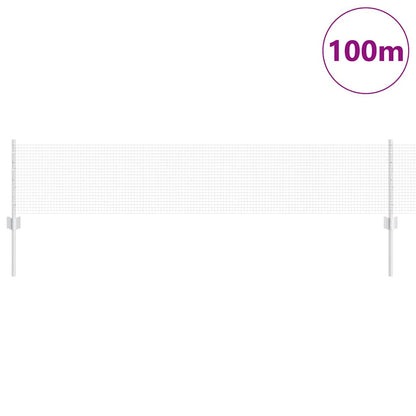 Welded Wire Fence with Posts 100 x 0.4 m Galvanised Steel Mesh
