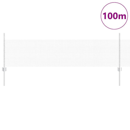 Welded Wire Fence with Posts 100 x 0.5 m Galvanised Steel Mesh